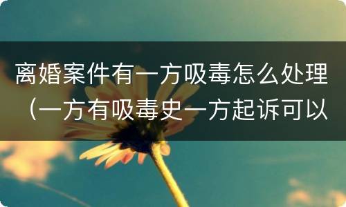 离婚案件有一方吸毒怎么处理（一方有吸毒史一方起诉可以离婚吗）