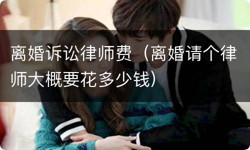 离婚诉讼律师费（离婚请个律师大概要花多少钱）