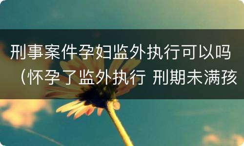 刑事案件孕妇监外执行可以吗（怀孕了监外执行 刑期未满孩子怎么办）