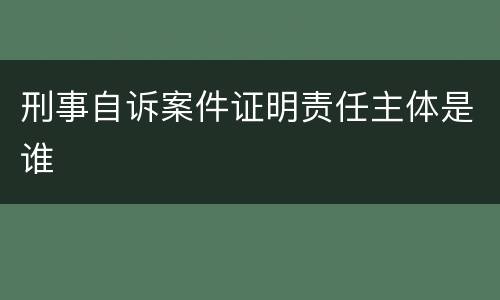 刑事自诉案件证明责任主体是谁