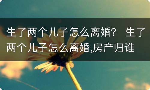 生了两个儿子怎么离婚？ 生了两个儿子怎么离婚,房产归谁