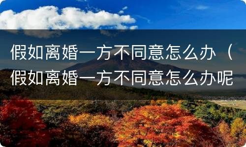 假如离婚一方不同意怎么办（假如离婚一方不同意怎么办呢）