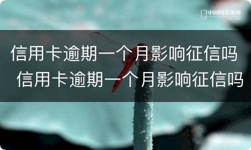 信用卡逾期一个月影响征信吗 信用卡逾期一个月影响征信吗怎么办