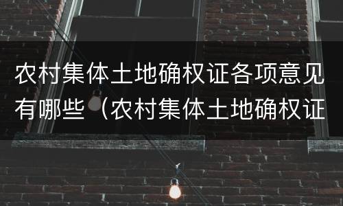 农村集体土地确权证各项意见有哪些（农村集体土地确权证各项意见有哪些要求）