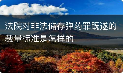 法院对非法储存弹药罪既遂的裁量标准是怎样的
