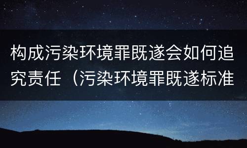 构成污染环境罪既遂会如何追究责任（污染环境罪既遂标准）