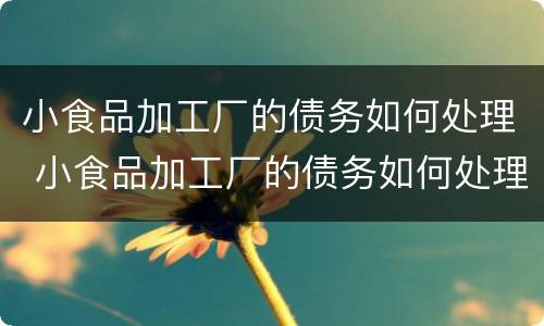 小食品加工厂的债务如何处理 小食品加工厂的债务如何处理好