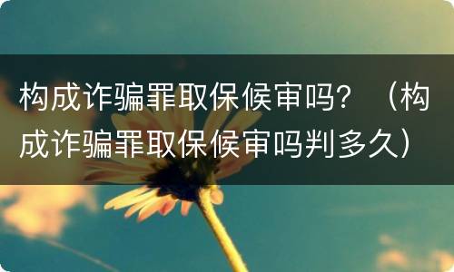构成诈骗罪取保候审吗？（构成诈骗罪取保候审吗判多久）