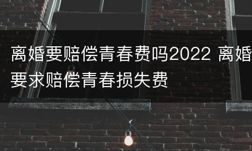 离婚要赔偿青春费吗2022 离婚要求赔偿青春损失费