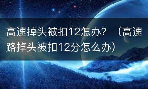 高速掉头被扣12怎办？（高速路掉头被扣12分怎么办）