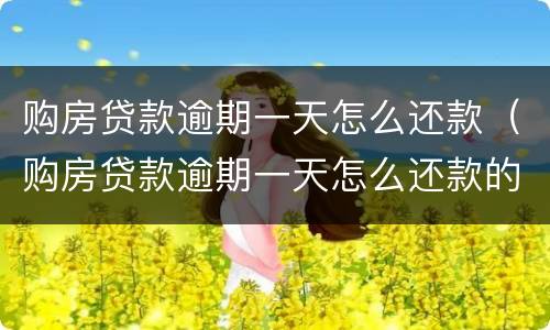 购房贷款逾期一天怎么还款（购房贷款逾期一天怎么还款的）