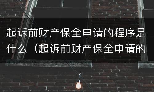 起诉前财产保全申请的程序是什么（起诉前财产保全申请的程序是什么呢）