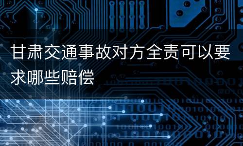 甘肃交通事故对方全责可以要求哪些赔偿