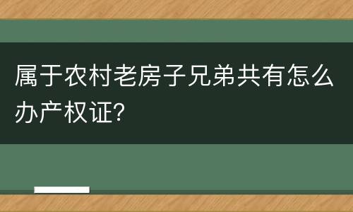 属于农村老房子兄弟共有怎么办产权证？