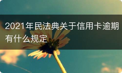 2021年民法典关于信用卡逾期有什么规定