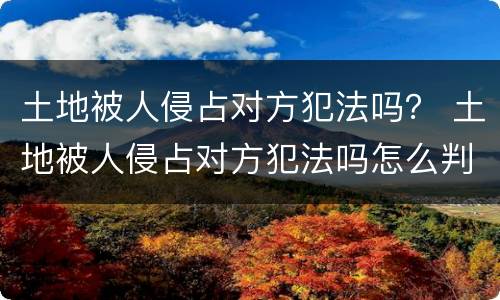 土地被人侵占对方犯法吗？ 土地被人侵占对方犯法吗怎么判