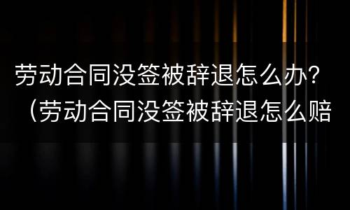 劳动合同没签被辞退怎么办？（劳动合同没签被辞退怎么赔偿）