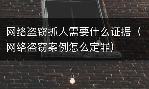 网络盗窃抓人需要什么证据（网络盗窃案例怎么定罪）