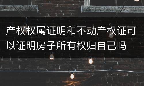 产权权属证明和不动产权证可以证明房子所有权归自己吗