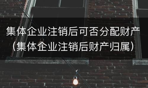 集体企业注销后可否分配财产（集体企业注销后财产归属）