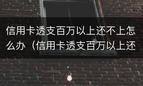 信用卡透支百万以上还不上怎么办（信用卡透支百万以上还不上怎么办呢）