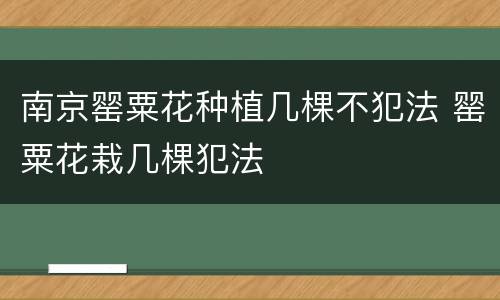 南京罂粟花种植几棵不犯法 罂粟花栽几棵犯法