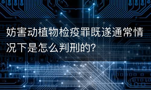 妨害动植物检疫罪既遂通常情况下是怎么判刑的？
