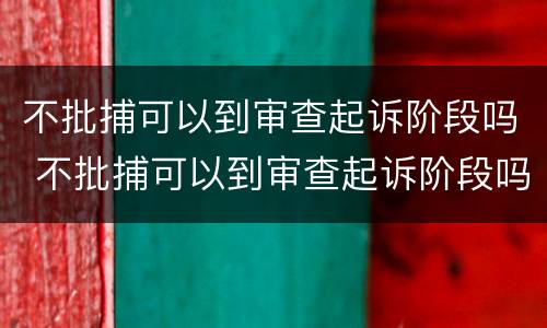 不批捕可以到审查起诉阶段吗 不批捕可以到审查起诉阶段吗法院
