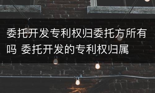 委托开发专利权归委托方所有吗 委托开发的专利权归属