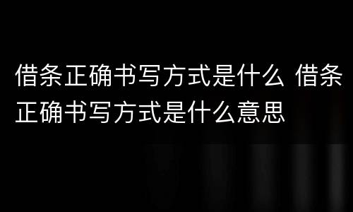 借条正确书写方式是什么 借条正确书写方式是什么意思
