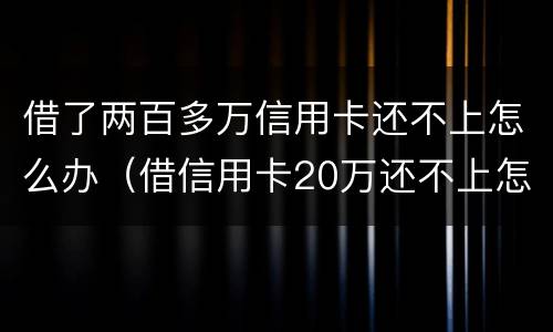 借了两百多万信用卡还不上怎么办（借信用卡20万还不上怎么办）