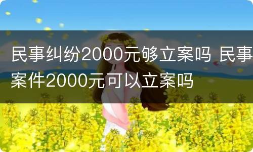 民事纠纷2000元够立案吗 民事案件2000元可以立案吗