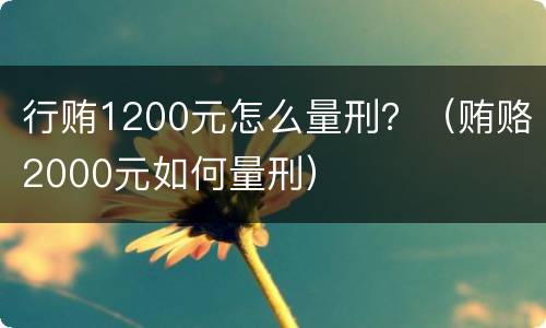 行贿1200元怎么量刑？（贿赂2000元如何量刑）