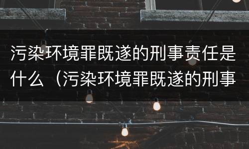 污染环境罪既遂的刑事责任是什么（污染环境罪既遂的刑事责任是什么意思）