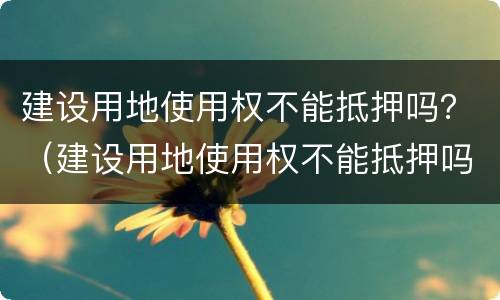 建设用地使用权不能抵押吗？（建设用地使用权不能抵押吗）
