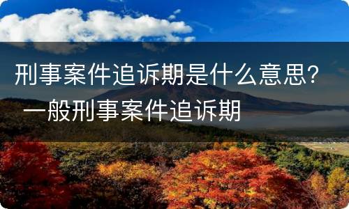刑事案件追诉期是什么意思？ 一般刑事案件追诉期