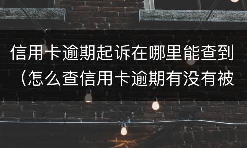 信用卡逾期起诉在哪里能查到（怎么查信用卡逾期有没有被起诉）