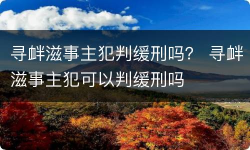 寻衅滋事主犯判缓刑吗？ 寻衅滋事主犯可以判缓刑吗