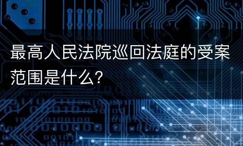 最高人民法院巡回法庭的受案范围是什么？