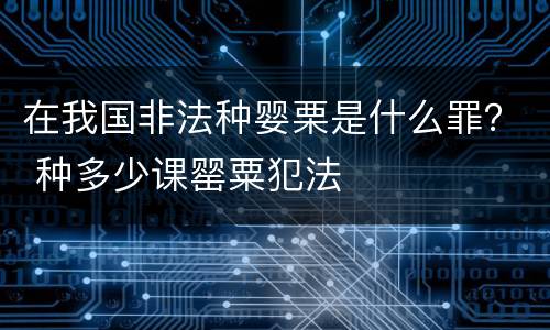 在我国非法种婴栗是什么罪？ 种多少课罂粟犯法