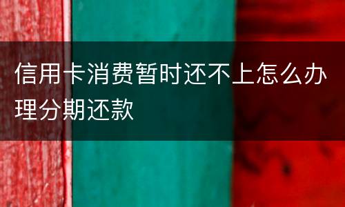 信用卡消费暂时还不上怎么办理分期还款