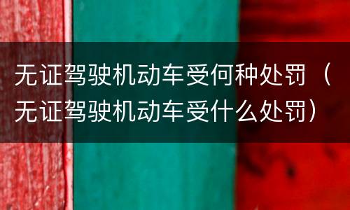 无证驾驶机动车受何种处罚（无证驾驶机动车受什么处罚）
