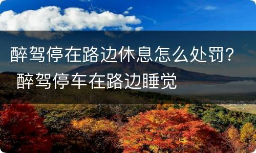 醉驾停在路边休息怎么处罚？ 醉驾停车在路边睡觉