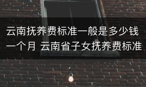 云南抚养费标准一般是多少钱一个月 云南省子女抚养费标准