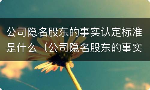 公司隐名股东的事实认定标准是什么（公司隐名股东的事实认定标准是什么呢）