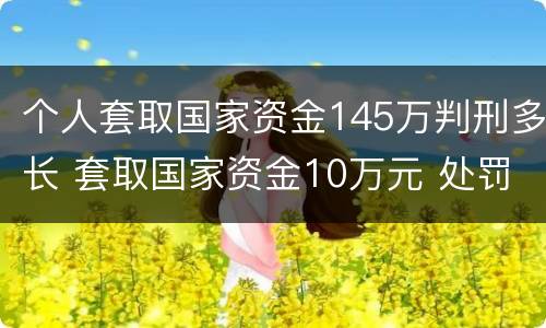 个人套取国家资金145万判刑多长 套取国家资金10万元 处罚