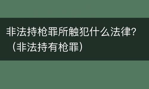 非法持枪罪所触犯什么法律？（非法持有枪罪）