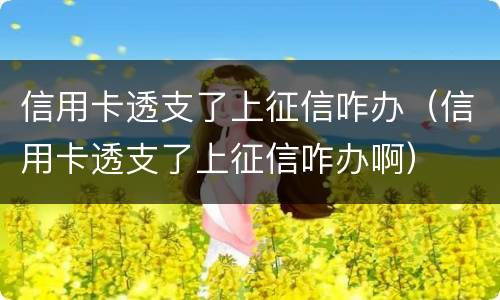 信用卡透支了上征信咋办（信用卡透支了上征信咋办啊）