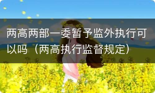 两高两部一委暂予监外执行可以吗（两高执行监督规定）