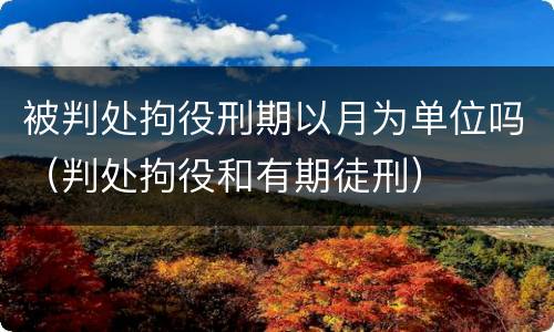 被判处拘役刑期以月为单位吗（判处拘役和有期徒刑）